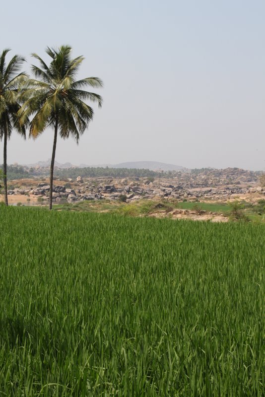 India 2010 - Hampi - Virupapur Gaddi